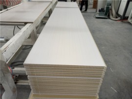 山东石塑护墙板厂家 竹木纤维板快装板